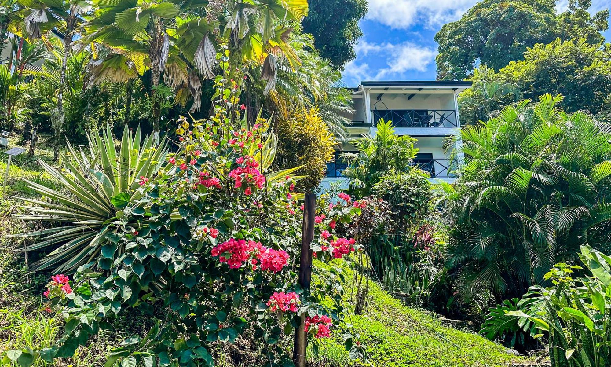 Villa Roca Boutique Resort & Suites - Adult Only 曼努埃尔安东尼奥 外观 照片